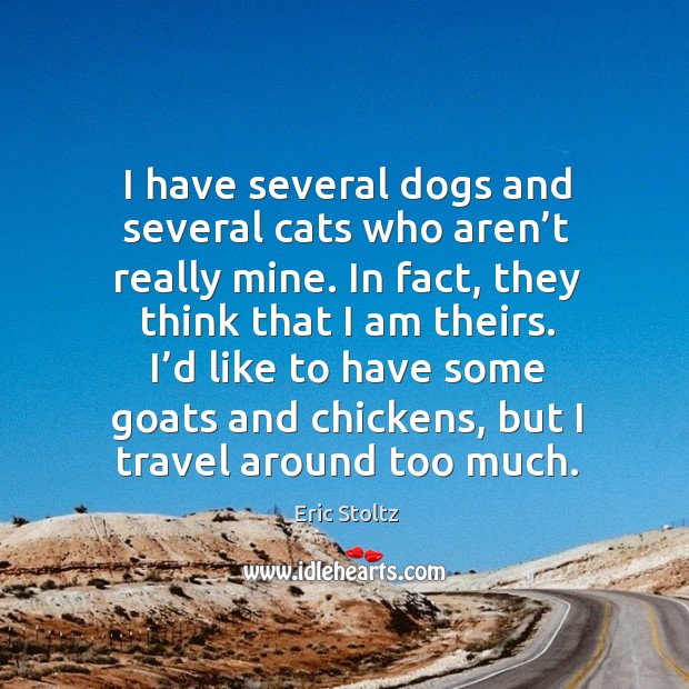 I have several dogs and several cats who aren’t really mine. In fact, they think that I am theirs. Image