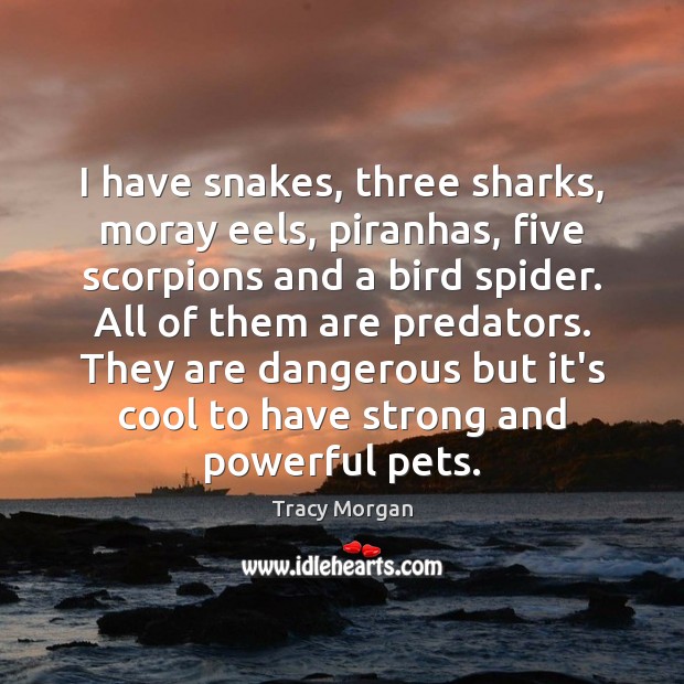I have snakes, three sharks, moray eels, piranhas, five scorpions and a Image