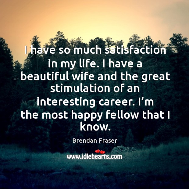 I have so much satisfaction in my life. I have a beautiful wife and the great stimulation of an interesting career. Brendan Fraser Picture Quote