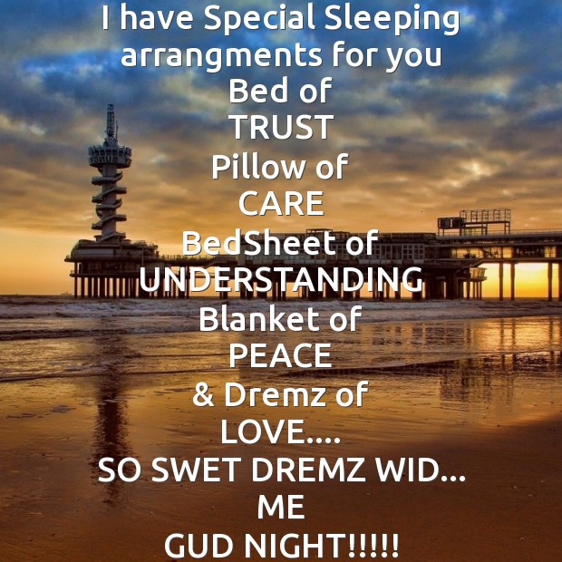 I have special sleeping arrangments for you  bed of trust Good Night Messages Image