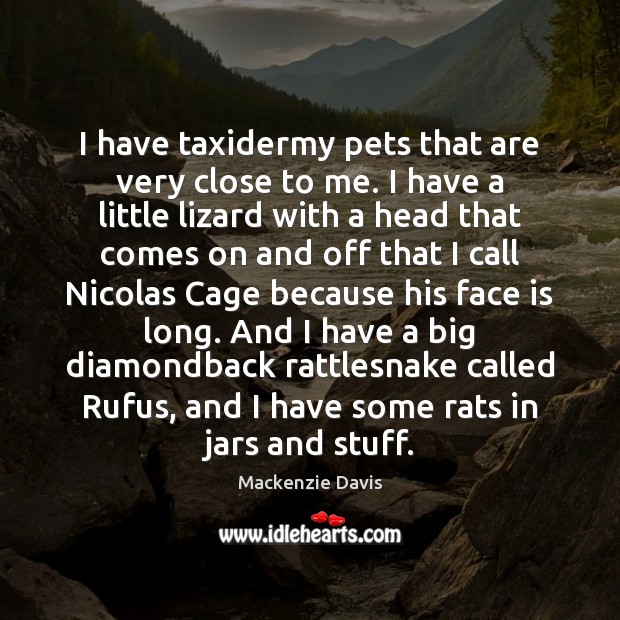 I have taxidermy pets that are very close to me. I have Mackenzie Davis Picture Quote