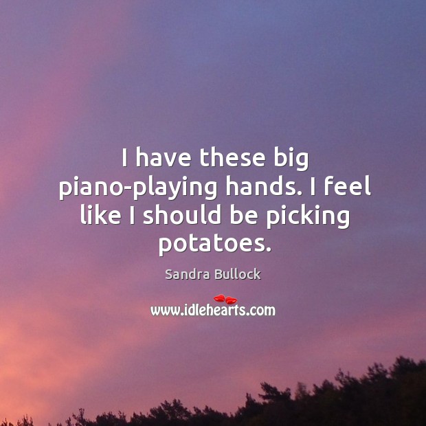 I have these big piano-playing hands. I feel like I should be picking potatoes. Sandra Bullock Picture Quote