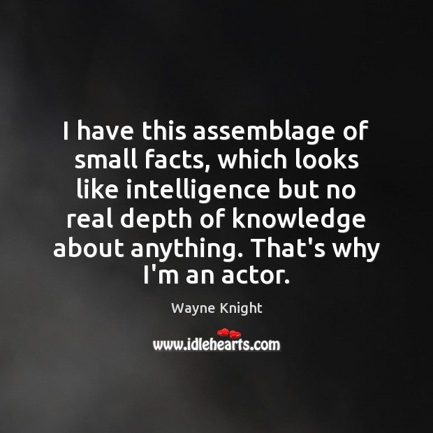 I have this assemblage of small facts, which looks like intelligence but Image