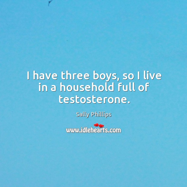 I have three boys, so I live in a household full of testosterone. Sally Phillips Picture Quote