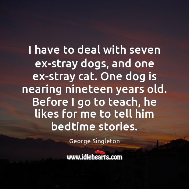 I have to deal with seven ex-stray dogs, and one ex-stray cat. George Singleton Picture Quote