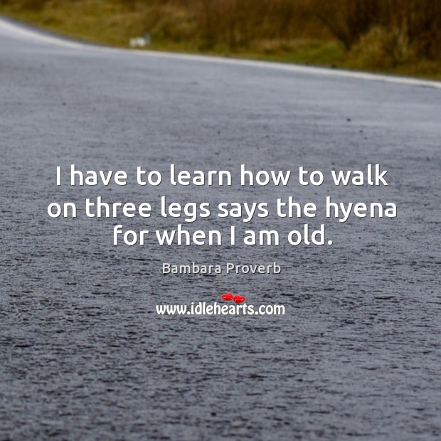I have to learn how to walk on three legs says the hyena for when I am old. Bambara Proverbs Image