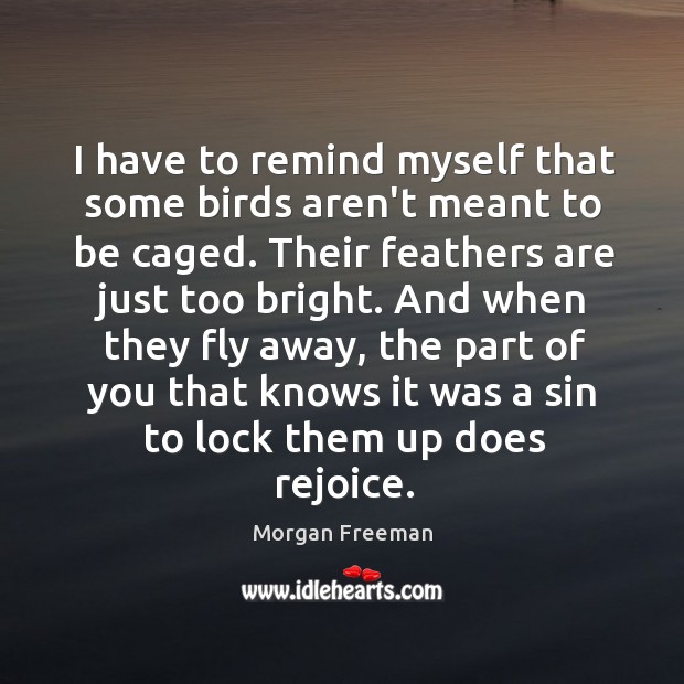 I have to remind myself that some birds aren’t meant to be Morgan Freeman Picture Quote