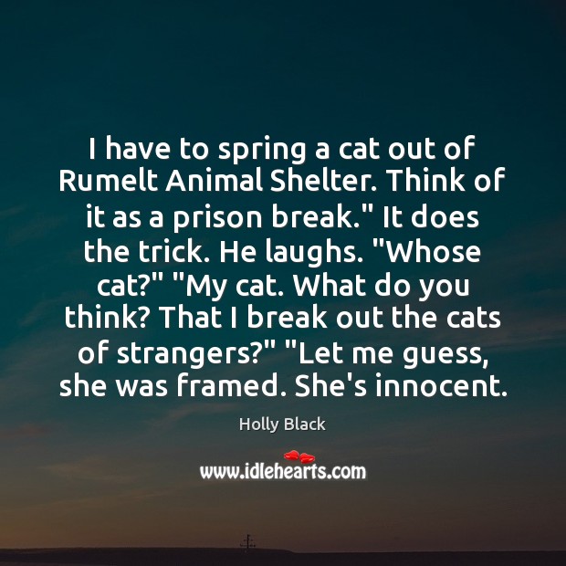 I have to spring a cat out of Rumelt Animal Shelter. Think Holly Black Picture Quote
