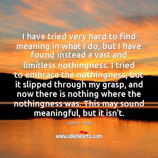 I have tried very hard to find meaning in what I do, John S. Hall Picture Quote