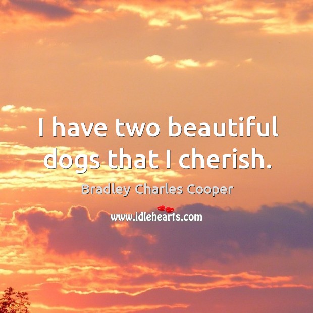 I have two beautiful dogs that I cherish. Bradley Charles Cooper Picture Quote