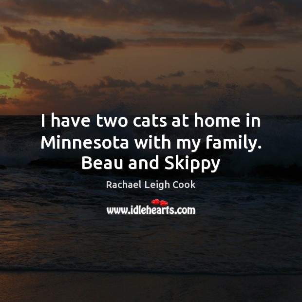 I have two cats at home in Minnesota with my family. Beau and Skippy Rachael Leigh Cook Picture Quote