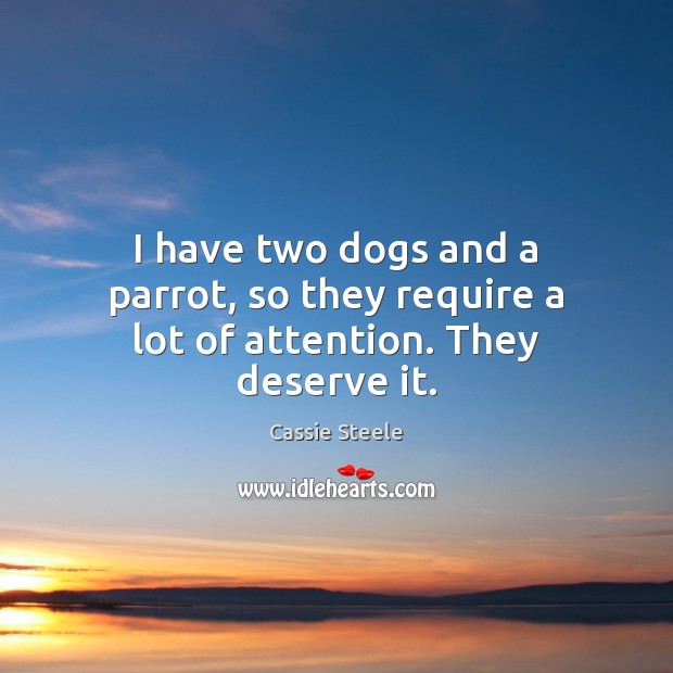 I have two dogs and a parrot, so they require a lot of attention. They deserve it. Cassie Steele Picture Quote