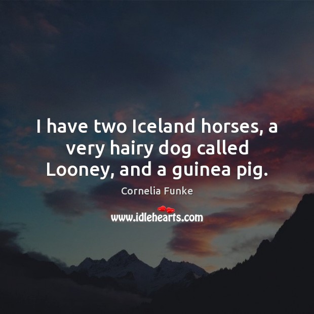 I have two Iceland horses, a very hairy dog called Looney, and a guinea pig. Cornelia Funke Picture Quote