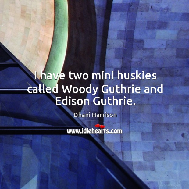I have two mini huskies called Woody Guthrie and Edison Guthrie. Dhani Harrison Picture Quote