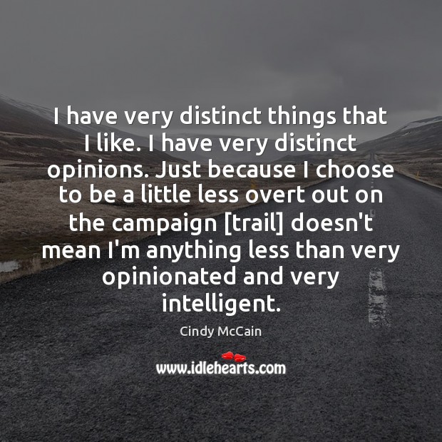 I have very distinct things that I like. I have very distinct Cindy McCain Picture Quote