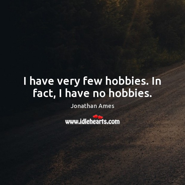 I have very few hobbies. In fact, I have no hobbies. Image