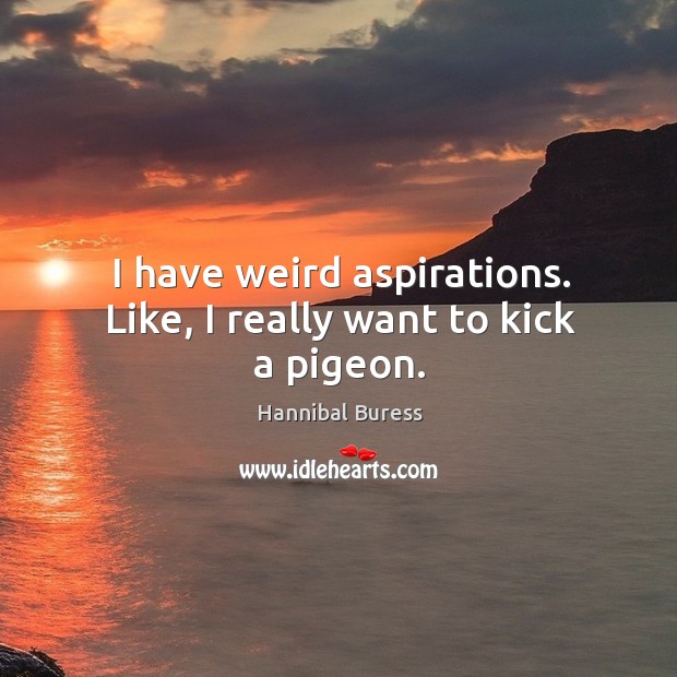 I have weird aspirations. Like, I really want to kick a pigeon. Hannibal Buress Picture Quote