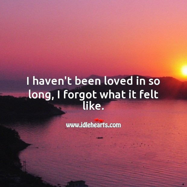 I haven’t been loved in so long, I forgot what it felt like. Image