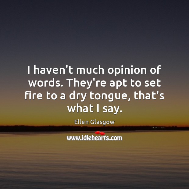 I haven’t much opinion of words. They’re apt to set fire to Ellen Glasgow Picture Quote