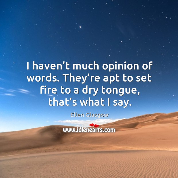 I haven’t much opinion of words. They’re apt to set fire to a dry tongue, that’s what I say. Ellen Glasgow Picture Quote