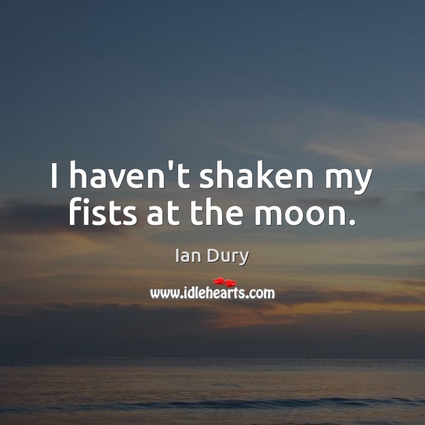 I haven’t shaken my fists at the moon. Image