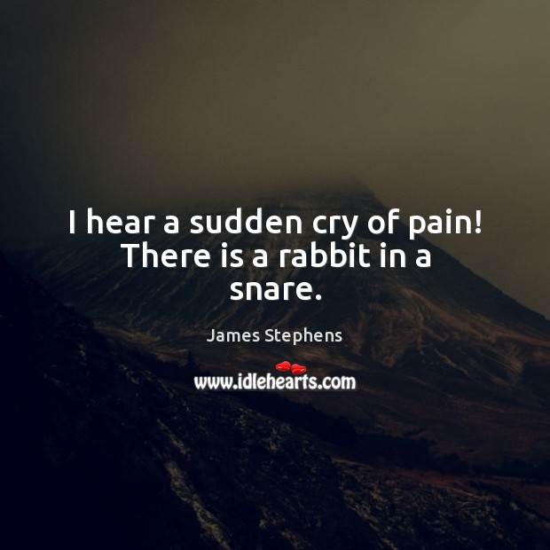 I hear a sudden cry of pain! There is a rabbit in a snare. Image