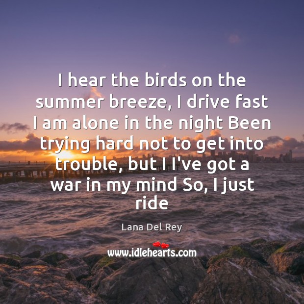 I hear the birds on the summer breeze, I drive fast I Lana Del Rey Picture Quote