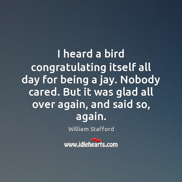 I heard a bird congratulating itself all day for being a jay. William Stafford Picture Quote