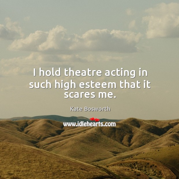 I hold theatre acting in such high esteem that it scares me. Kate Bosworth Picture Quote
