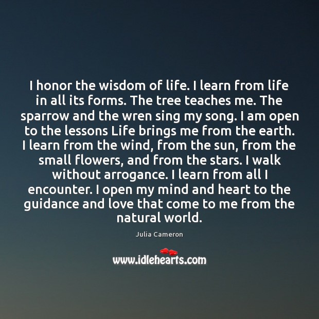 I honor the wisdom of life. I learn from life in all Julia Cameron Picture Quote