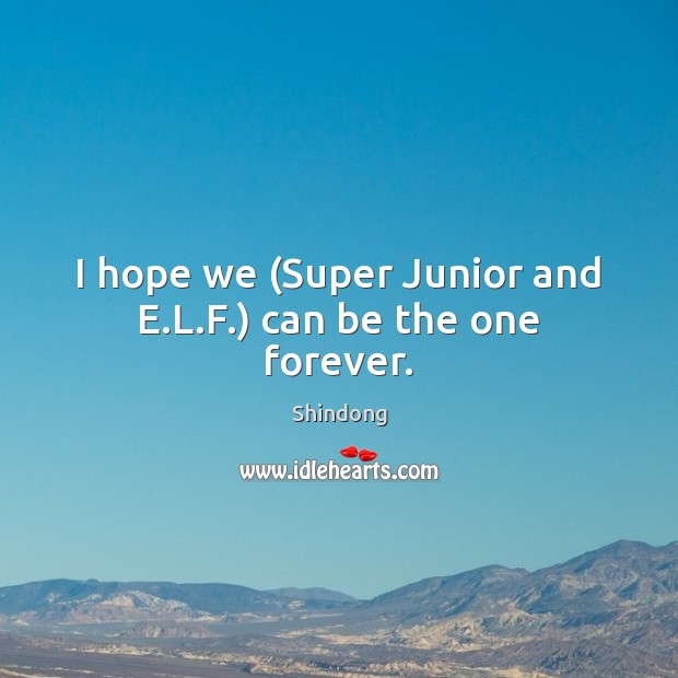 I hope we (Super Junior and E.L.F.) can be the one forever. Image