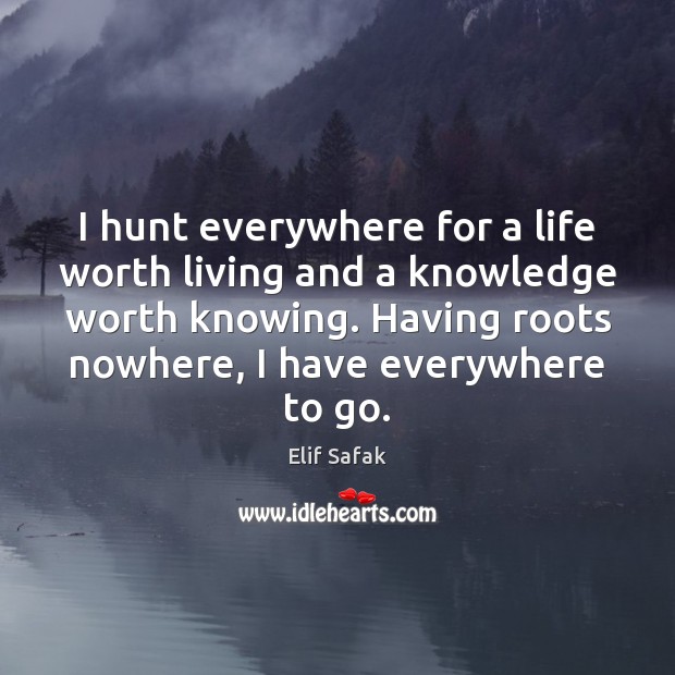 I hunt everywhere for a life worth living and a knowledge worth Elif Safak Picture Quote