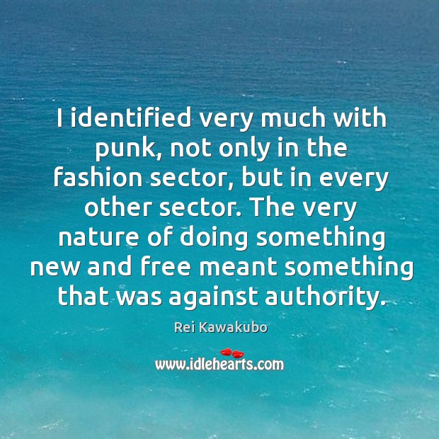 I identified very much with punk, not only in the fashion sector, Rei Kawakubo Picture Quote