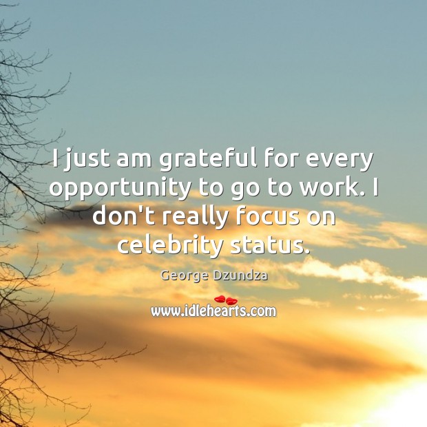 I just am grateful for every opportunity to go to work. I George Dzundza Picture Quote
