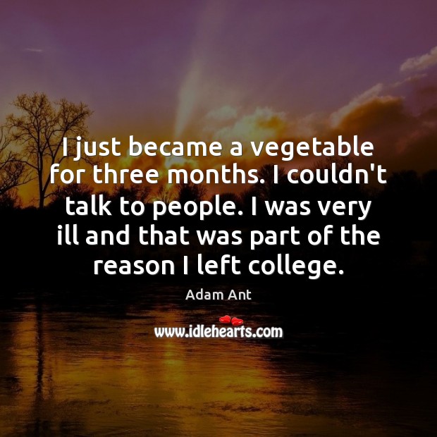 I just became a vegetable for three months. I couldn’t talk to Adam Ant Picture Quote