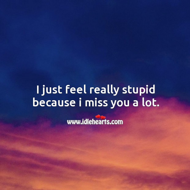 I just feel really stupid because I miss you a lot. Image
