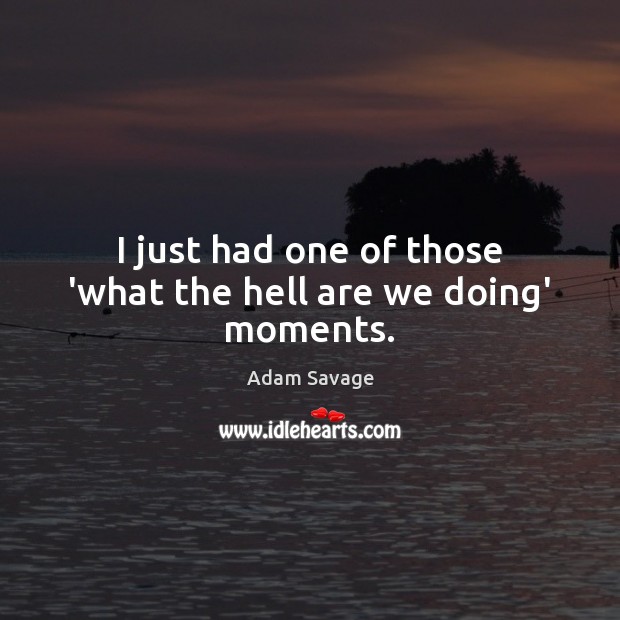 I just had one of those ‘what the hell are we doing’ moments. Adam Savage Picture Quote