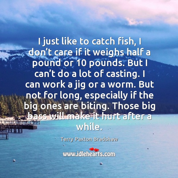 I just like to catch fish, I don’t care if it weighs half a pound or 10 pounds. Terry Paxton Bradshaw Picture Quote
