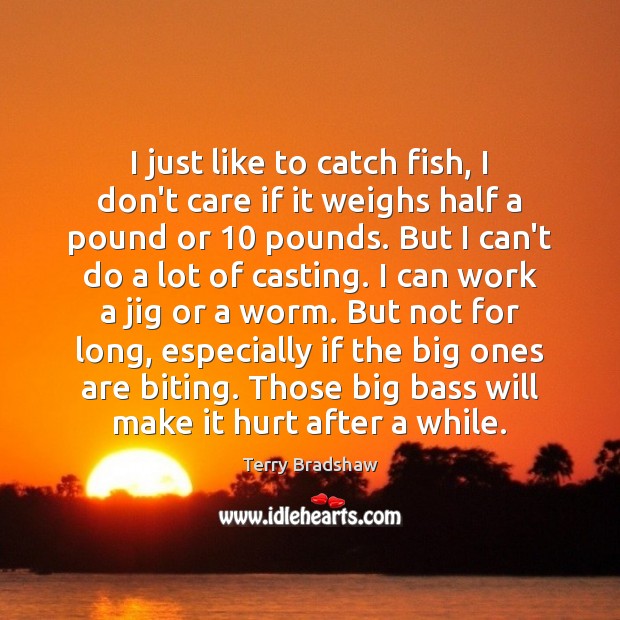 I just like to catch fish, I don’t care if it weighs Terry Bradshaw Picture Quote