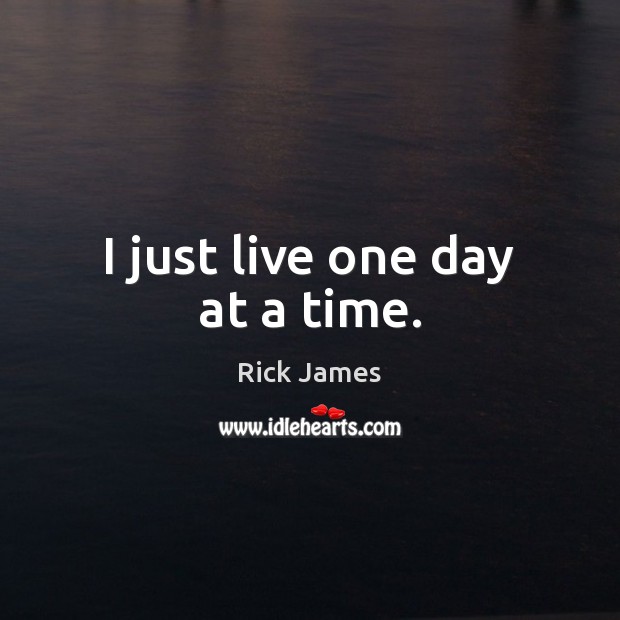 I just live one day at a time. Rick James Picture Quote