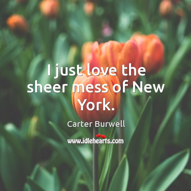 I just love the sheer mess of new york. Carter Burwell Picture Quote