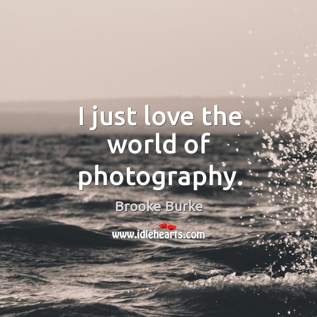 I just love the world of photography. Image