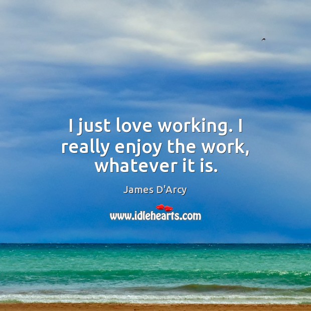 I just love working. I really enjoy the work, whatever it is. James D’Arcy Picture Quote