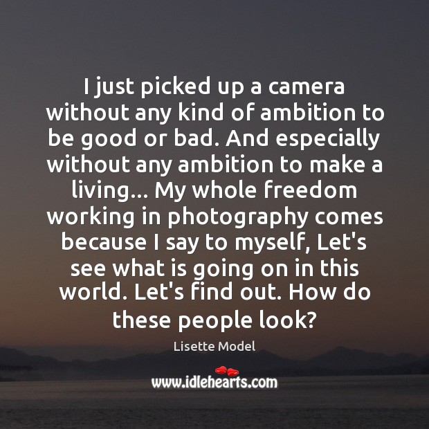 I just picked up a camera without any kind of ambition to Lisette Model Picture Quote