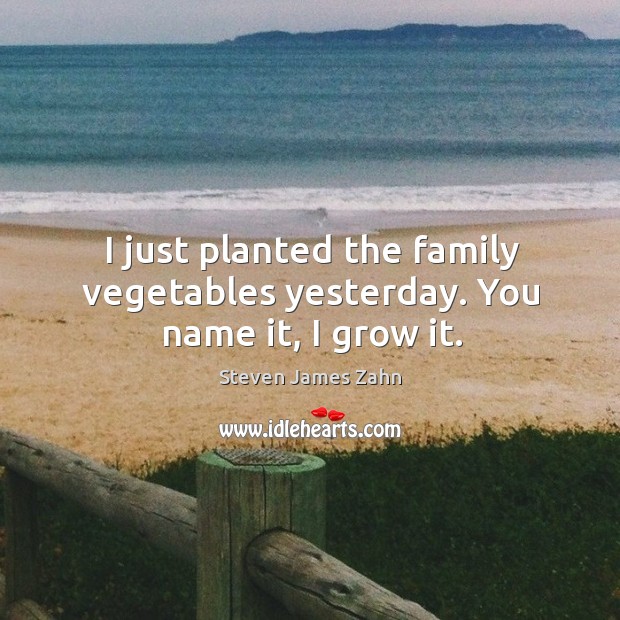I just planted the family vegetables yesterday. You name it, I grow it. Image