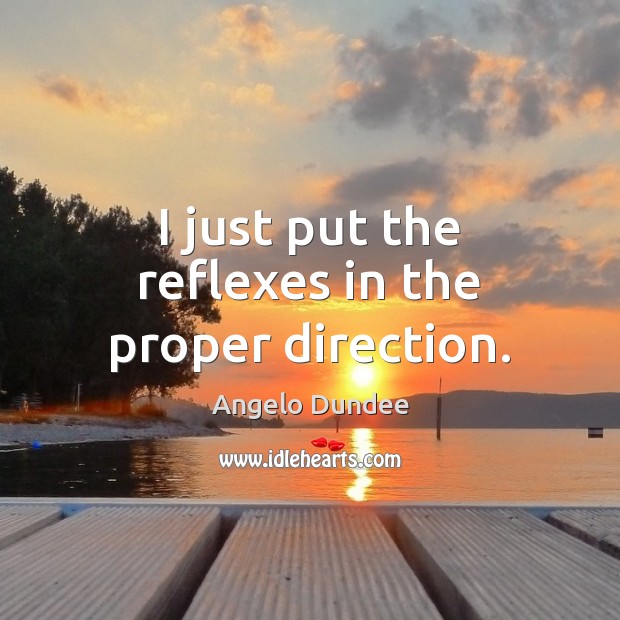 I just put the reflexes in the proper direction. Angelo Dundee Picture Quote