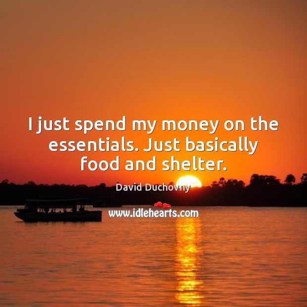 I just spend my money on the essentials. Just basically food and shelter. David Duchovny Picture Quote