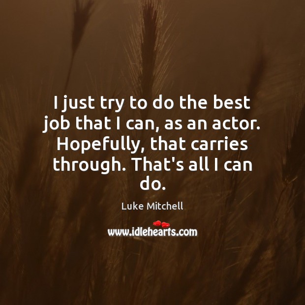 I just try to do the best job that I can, as Luke Mitchell Picture Quote