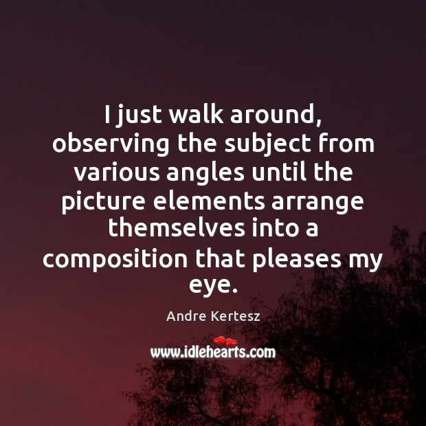 I just walk around, observing the subject from various angles until the Andre Kertesz Picture Quote