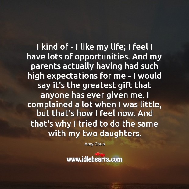 I kind of – I like my life; I feel I have Amy Chua Picture Quote